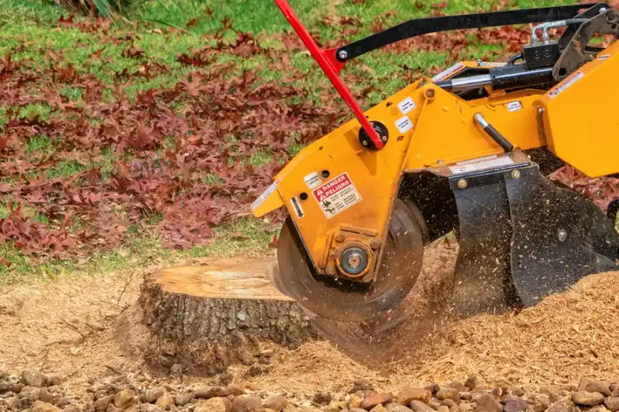 Affordable Stump Grinding Byron NE