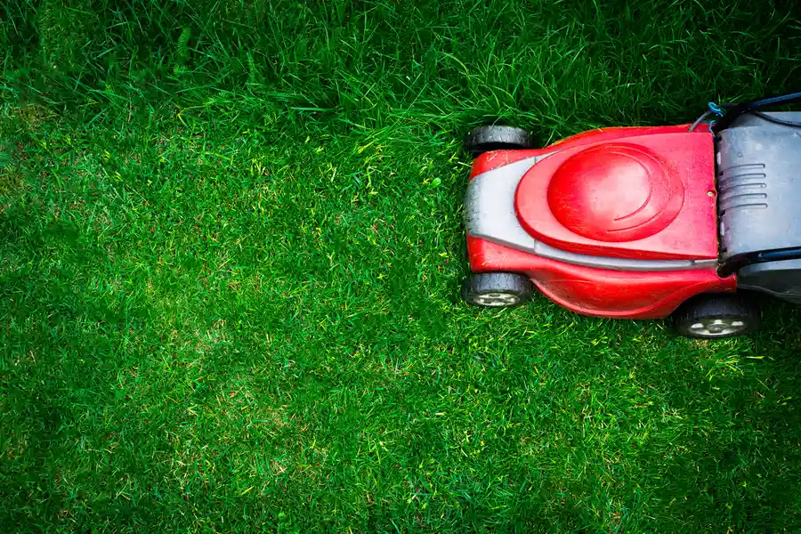 How Lawn Mowing Service Helps Maintain Your Lawn's Shape in Byron NE