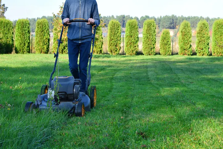 Lawn Mowing Service Tips For Different Grass Types Byron NE