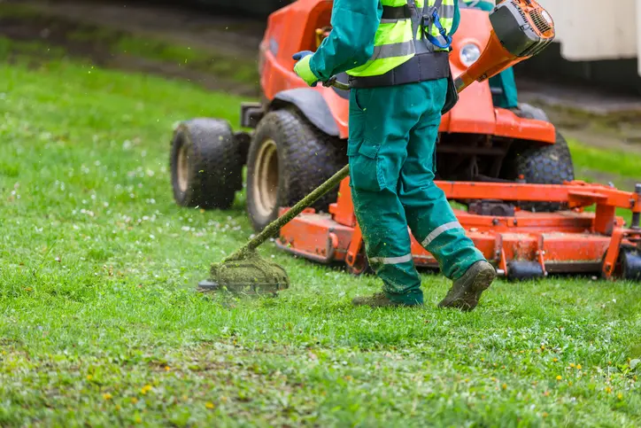 Lawn Mowing Service Tips For Different Grass Types in Byron NE