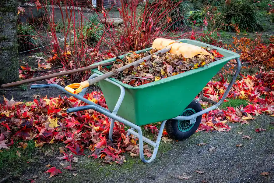 The Role Of Yard Cleanup In Preparing For Outdoor Entertaining Byron NE