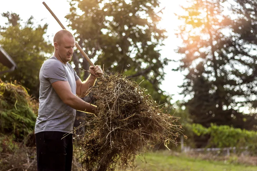 The Role Of Yard Cleanup In Preparing For Outdoor Entertaining in Byron NE